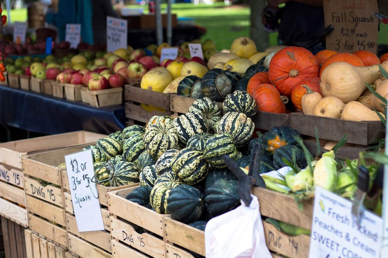 What is a CSA? And Tips for Shopping Local