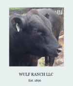 Wulf Ranch, LLC