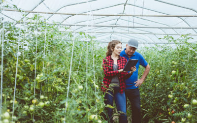 Growing Growers ICT gears up for second year of educating fruit and vegetable farmers